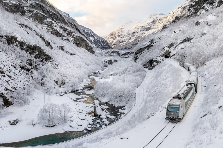 Die Flåmbahn &amp; die Nærøyfjord-TourThe Flåm Railway &amp; the Nærøyfjord Tour