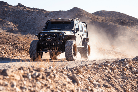 Las Vegas- Offroad Experience Wildlife, Ghost Towns and moreAventure tout-terrain dans le désert Secrets de l&#039;ancien Ouest, vie sauvage
