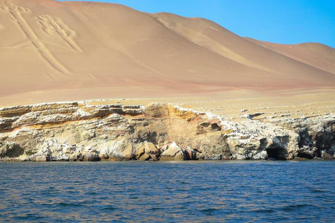 Lima : Excursion d&#039;une journée à Ballestas et Huacachina avec vol sur les lignes de Nazca