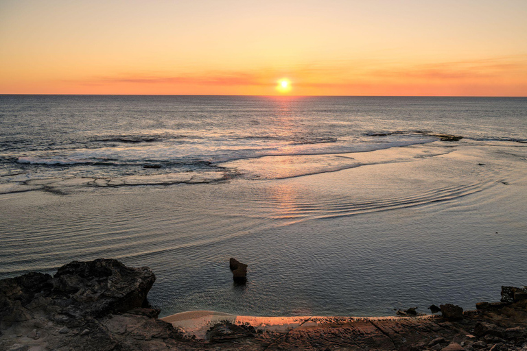 Rottnest Island Seals, Sunset & West End Bus Tour