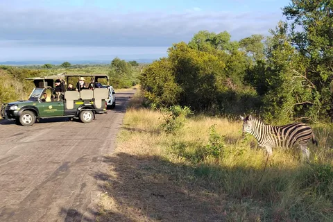 Kruger National Park half day