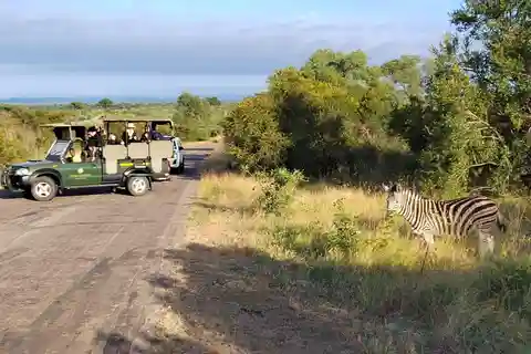Kruger National Park halvdag
