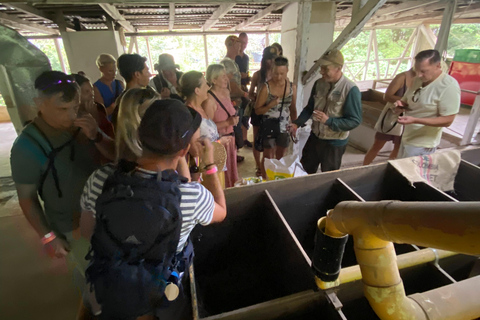 Minca: Tour en Finca de Café y caminada a hermosa cascada