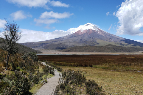 Quito to Cuenca: 4-Day Cotopaxi, Quilotoa, Baños, Chimborazo Tour + SUPERIOR Hotel