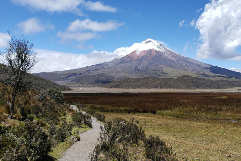 Quito to Cuenca: 4-Day Cotopaxi, Quilotoa, Baños, ChimborazoTour + Standard Hotel