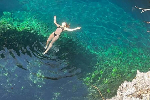 桑给巴尔：乔赞尼森林、库扎洞穴与蓝礁湖+海星探秘桑给巴尔：乔赞尼森林、库扎洞穴与蓝礁湖+海星