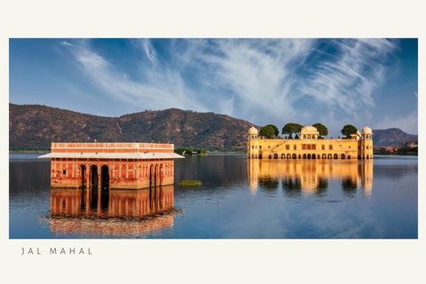 Jaipur: Half Day Tour (Amber Fort, Panna Meena, Jal Mahal) Tour with all Inclusive