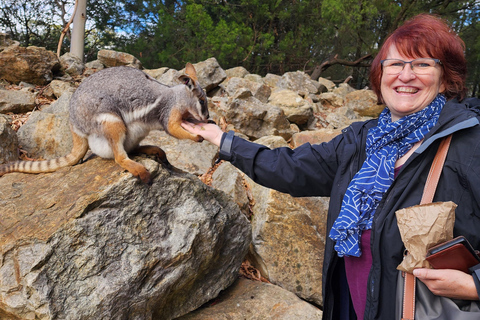 Adelaide: Premium Adelaide Hills Cleland and Hahndorf Tour