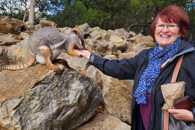 Adelaide: Premium Adelaide Hills Cleland and Hahndorf Tour