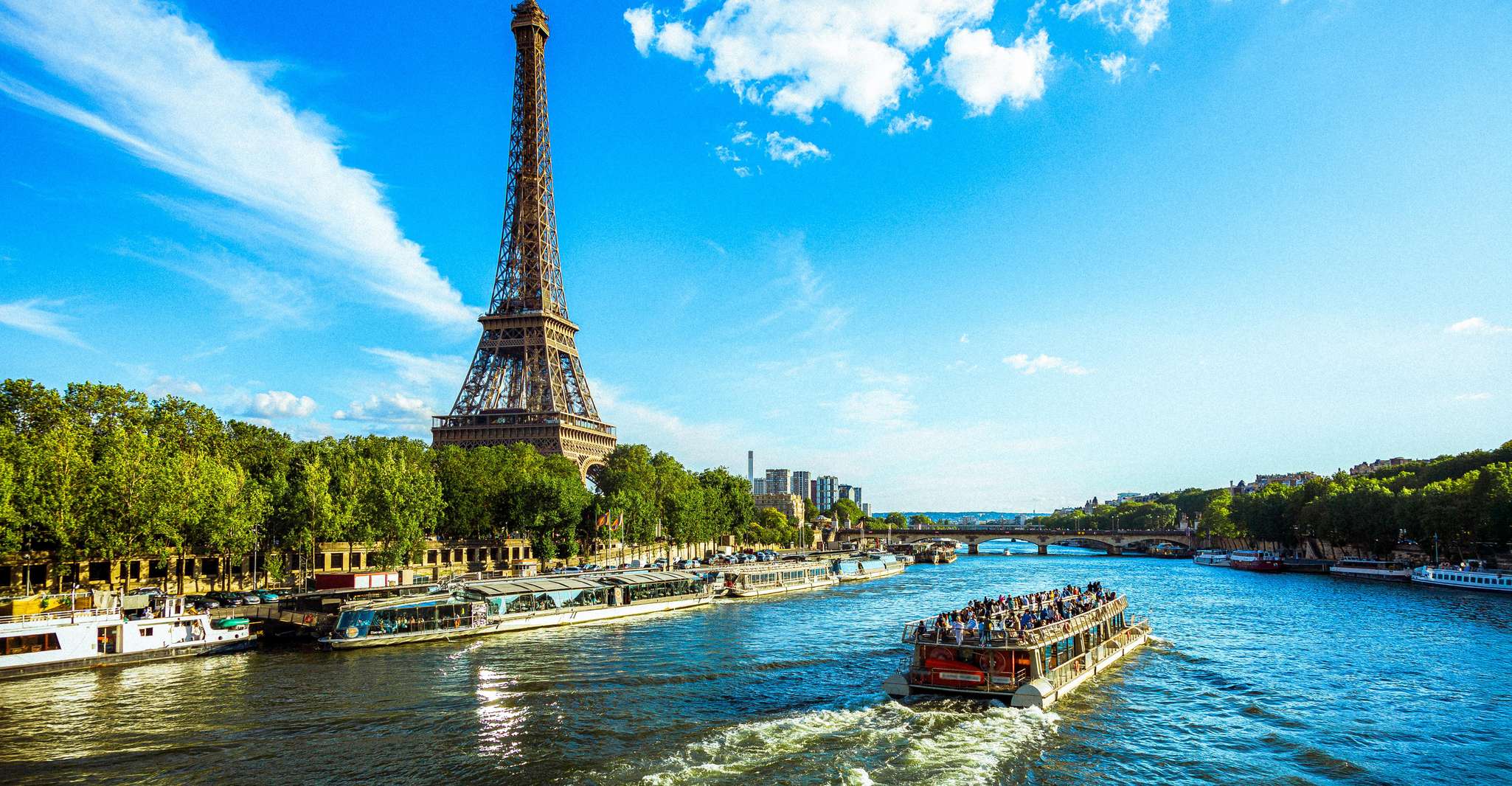 Paris: Seine River Cruise & Eiffel Tower Visit