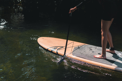 Montreal: Paddleboard and Giant SUP Rental at Parc Jean-Drapeau Giant SUP for 4 people