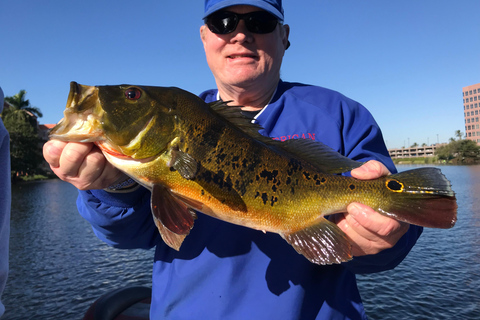 Peacock Bass Fishing Trips Near Miami Florida Peacock Bass Fishing Trips Near Miami Florida