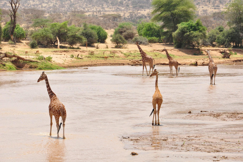 Lake Nakuru National park day trip