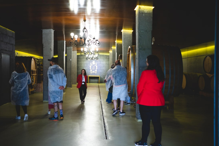 Granbazán Winery: Guided Tour and Wine Tasting Bodegas Granbazán: Visita Guiada y Cata de Vinos (Español)