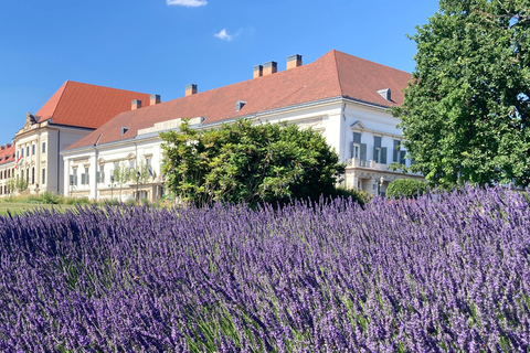 Budapest: Private Half-Day Walking Tour