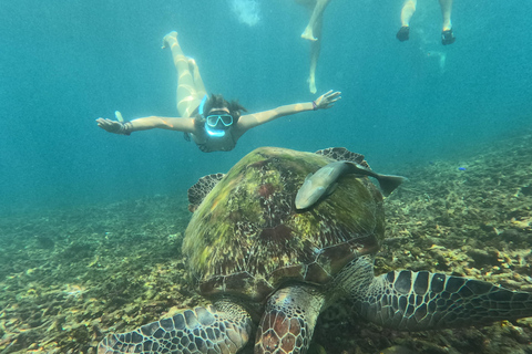 Koh Tao: Koh Nangyuan & Hidden Bays Snorkeling Tour w/ Lunch