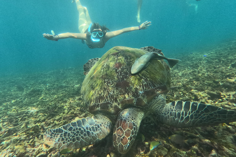 Koh Tao: Koh Nangyuan & Hidden Bays Snorkeling Tour w/ Lunch