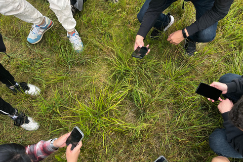 Wilde Schöhnheit - Ein Fotospaziergang durch die grünen Oasen in Weimar