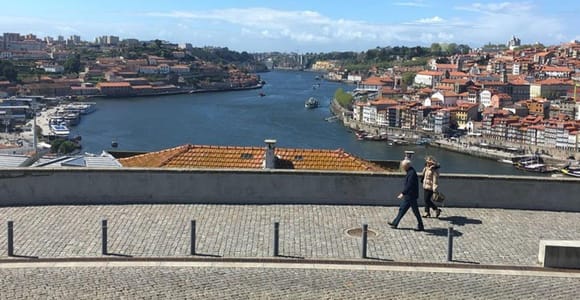 From Lisbon: Douro Valley and Porto Town Experience