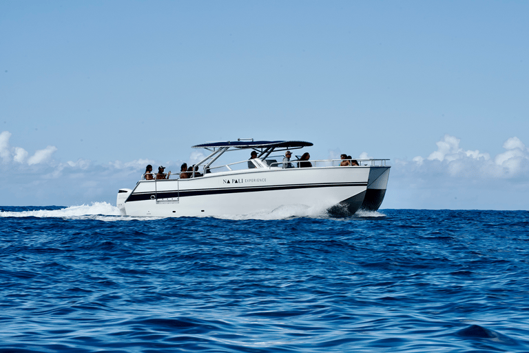 Kauai: Na Pali Coast Deluxe Power Catamaran Tour 7 a.m Deluxe Morning Magic