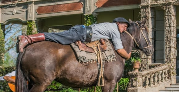 Gaucho Day – Traditional Argentine Estancia on the Outskirts of Buenos Aires