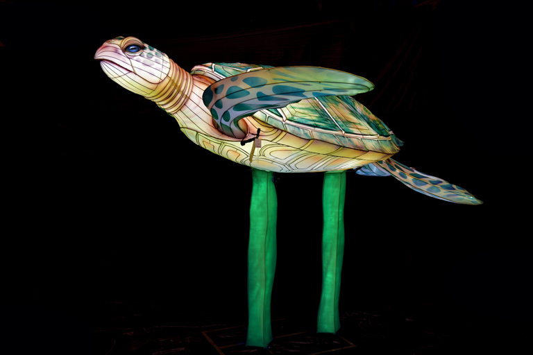 Edimburgo: tickets de entrada para el evento de linternas gigantes del zoo de EdimburgoEdimburgo: tickets de entrada para el zoo de Edimburgo y los faroles gigantes