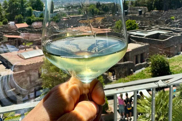 Pompeii: Guided Tour with Archaeologist and Lunch