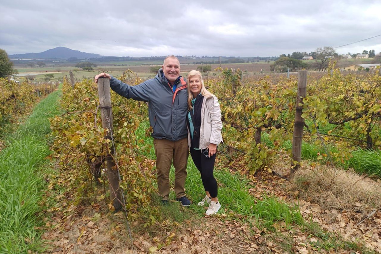 tour di mezza giornata dei vini di Stellenbosh e Paarl