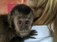 Centro de rescate de vida silvestre y parque de preservación - Housity