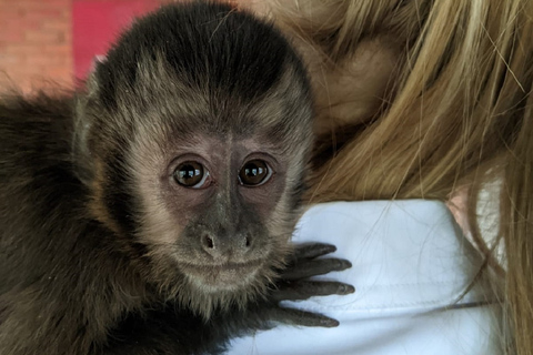 Santa Cruz: Wildlife Sanctuary and Preservation Park Tour