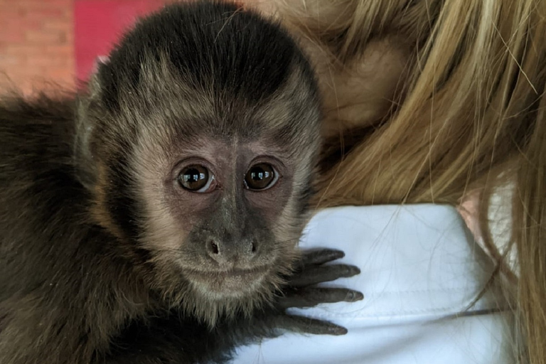 Santa Cruz: Wildlife Sanctuary and Preservation Park Tour