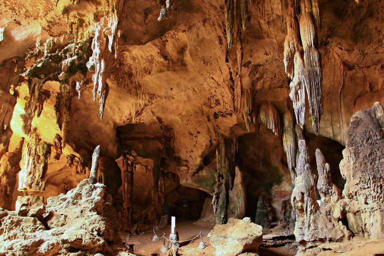 Krabi halvdagsutflykt ekotur Mangrove båttur &amp; Khanap Nam Cave