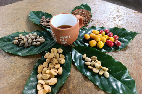 Cusco: Specialty Coffee Tasting-Sensory Experience (2 Hours)