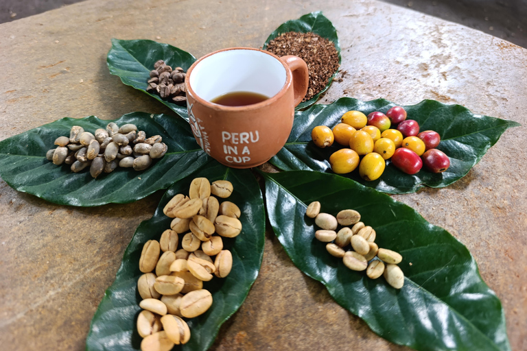 Cusco: Specialty Coffee Tasting-Sensory Experience (2 Hours)