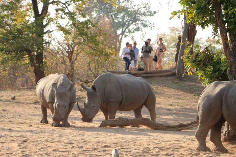 Livingstone: Mosi-oa-Tunya National Park Walking Safari