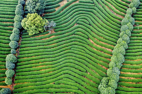 From Shanghai: West Lake Hiking Day Trip with Longjing Tea private tour option