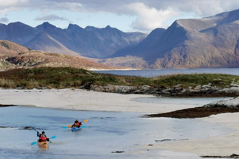 From Tromsø: Sea Kayaking Tour at Sommarøy with Transfer