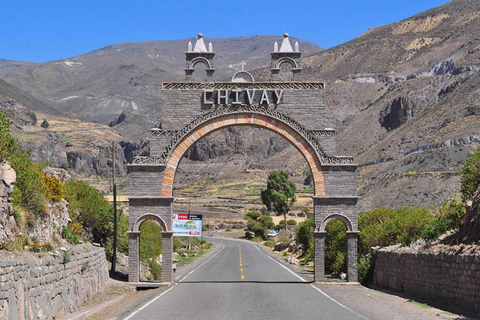 Journée à Colca + transfert à Puno