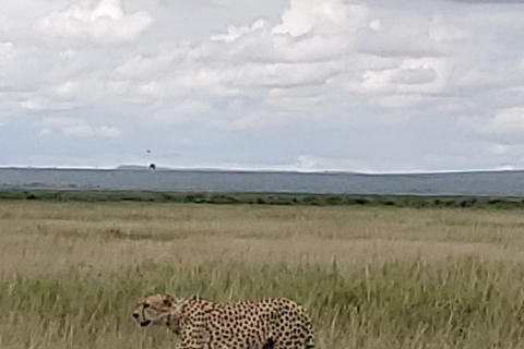جولة رحلة ليوم واحد في أمبوسيلي - إطلالة على كليمنجارو
