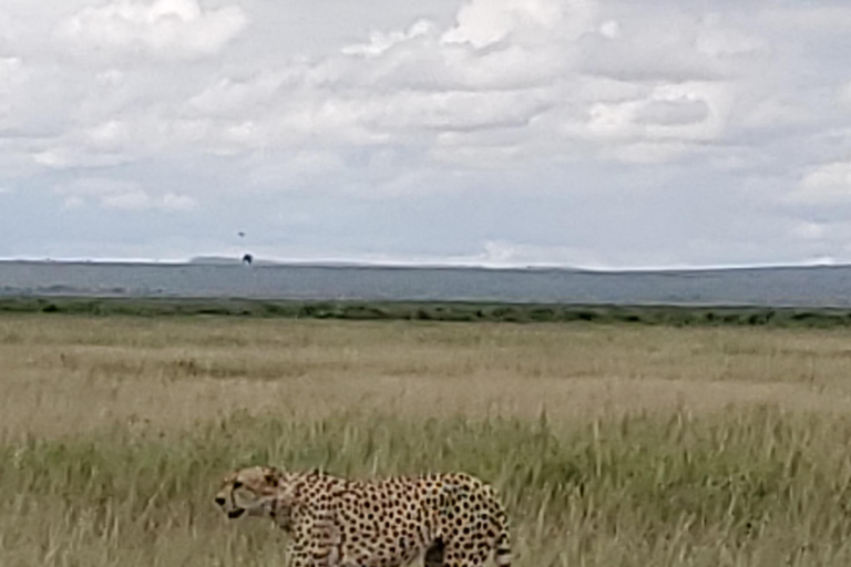 جولة رحلة ليوم واحد في أمبوسيلي - إطلالة على كليمنجارو
