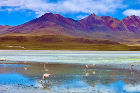 SALAR DE UYUNI 2 DIAS 1 NOITE | ROTA DO VULCÃO TUNUPA