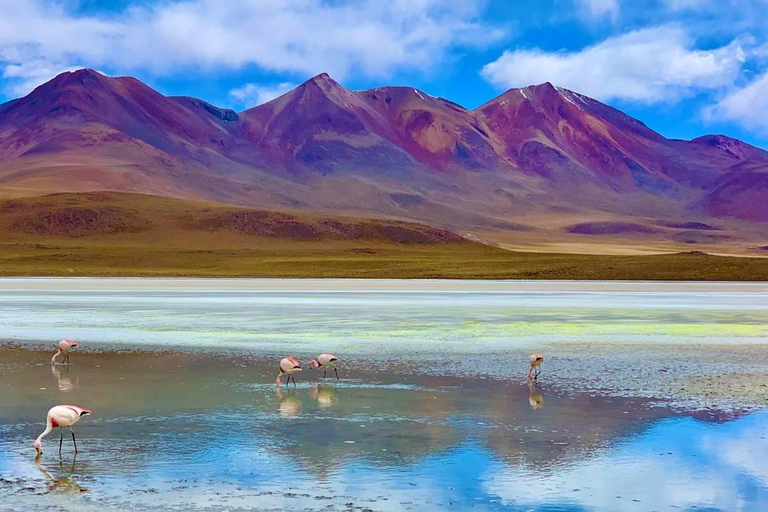 Excursão de 5 dias a Uyuni e à Lagoa Vermelha