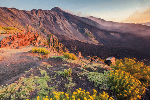 De Malta: Viagem de 1 dia ao Monte Etna e Siracusa com guiaMT. Excursão Etna e Siracusa