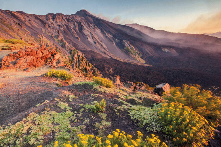 De Malta: Viagem de 1 dia ao Monte Etna e Siracusa com guiaMT. Excursão Etna e Siracusa