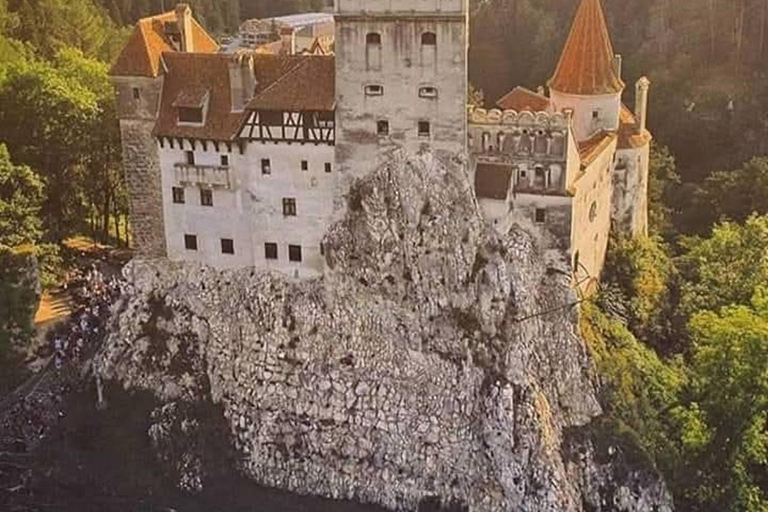 Brașov: Dracula's Castle, Bear Sanctuary, & Cave Tour