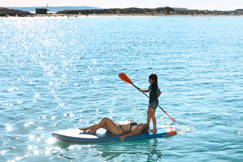 Ibiza: Formentera Boat and Bike Guide Tour +Sunset Party Gold Edition: Formentera Bike & Boat Adventure from Ibiza