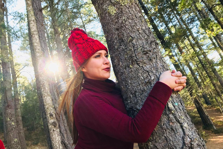 Wycieczka z przewodnikiem, transferem i biletami wstępu na wyprawę ArteagaMonterrey: Wycieczka z przewodnikiem po Arteaga, Coahuila