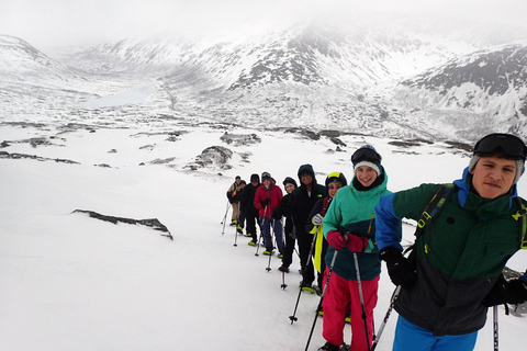 Tromsø: Guided snowshoe hill hike