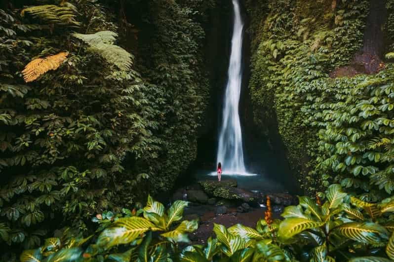 Bali: Private Sangeh Monkey Forest, Temple & Waterfall Tour