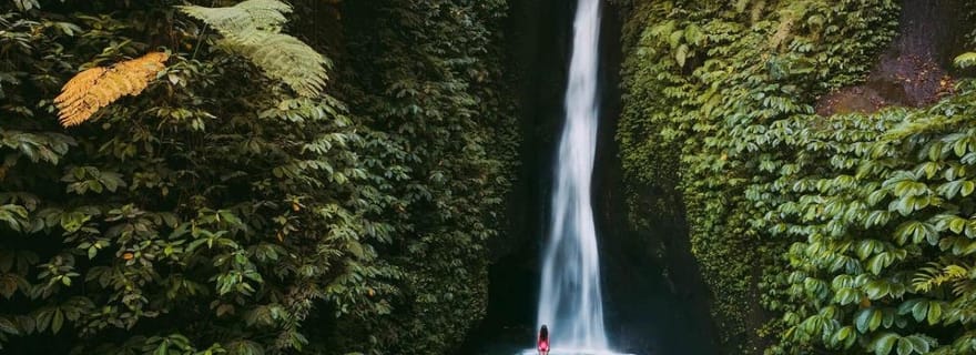 Bali : visite privée de la forêt des singes de Sangeh, du temple et de la cascade